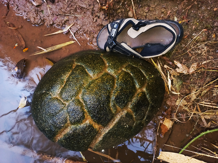 PIEDRA TALLADA